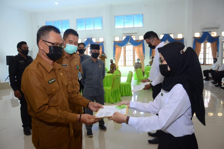 SK CPNS Formasi 2019