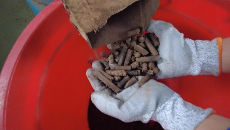 WhatsApp Image 2021-12-10 at 09.39.26