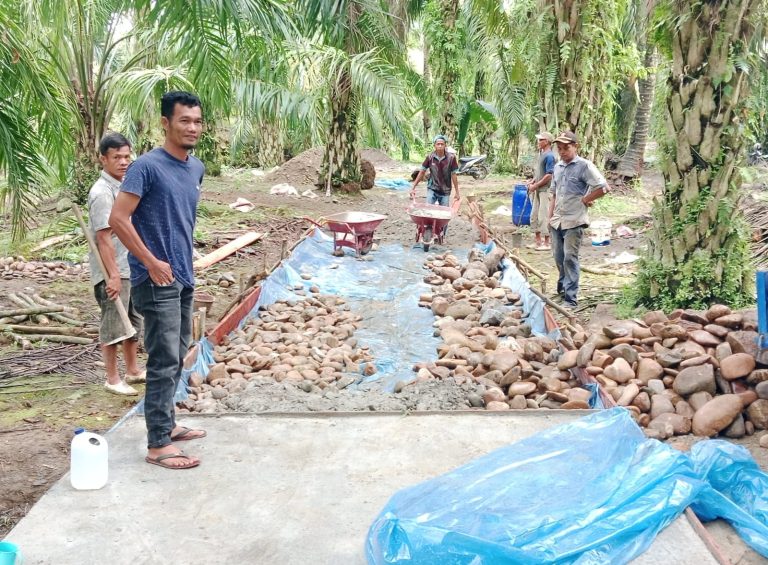 SAVE_20231125_122622