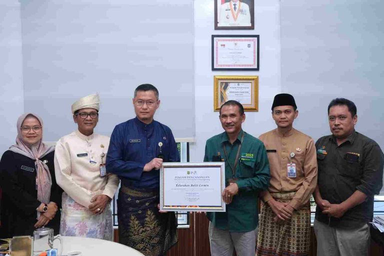 Piagam Kelurahan Cantik_11zon